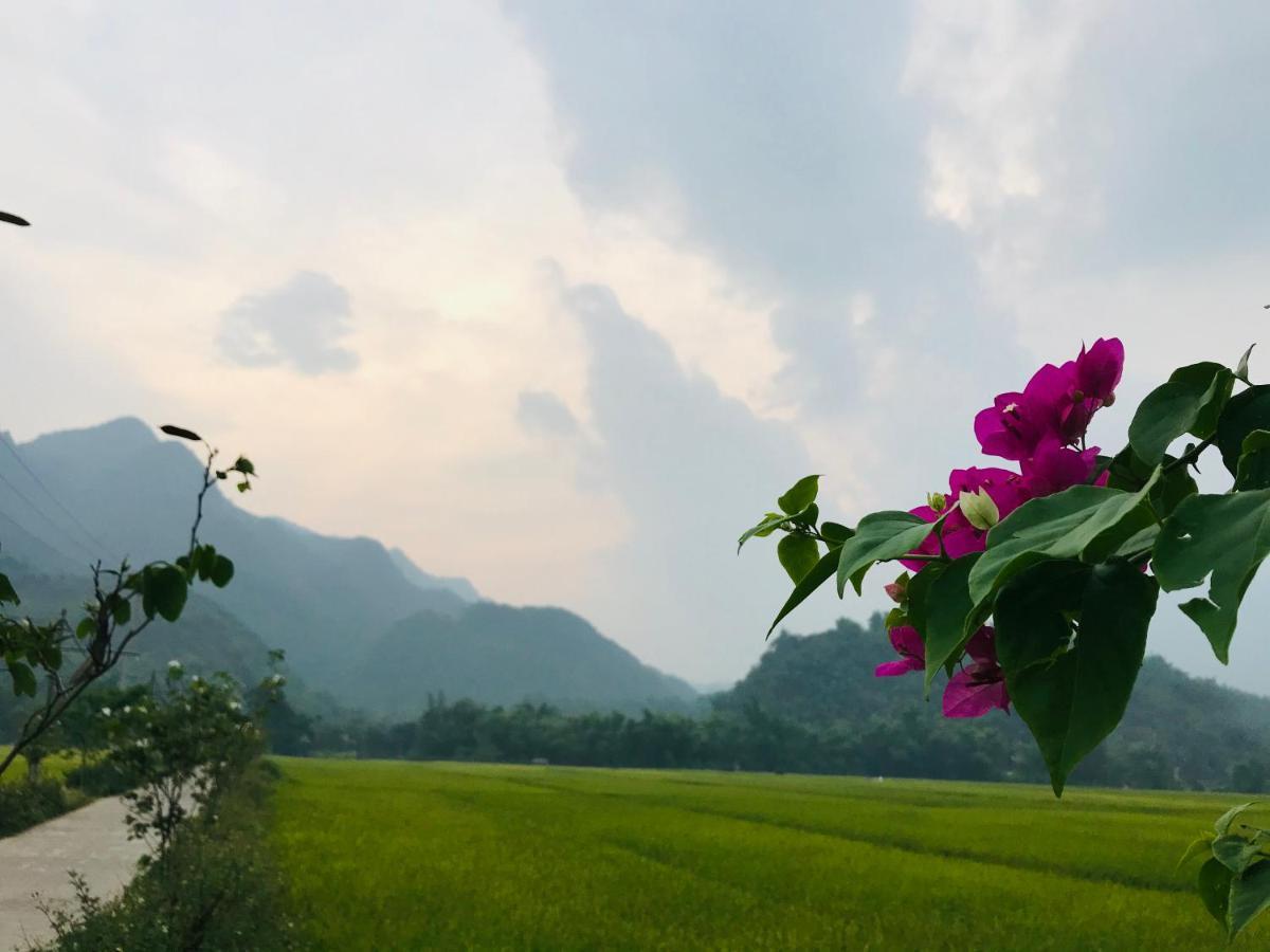 Jomo House Mai Chau Hotel Hoa Binh Ngoại thất bức ảnh