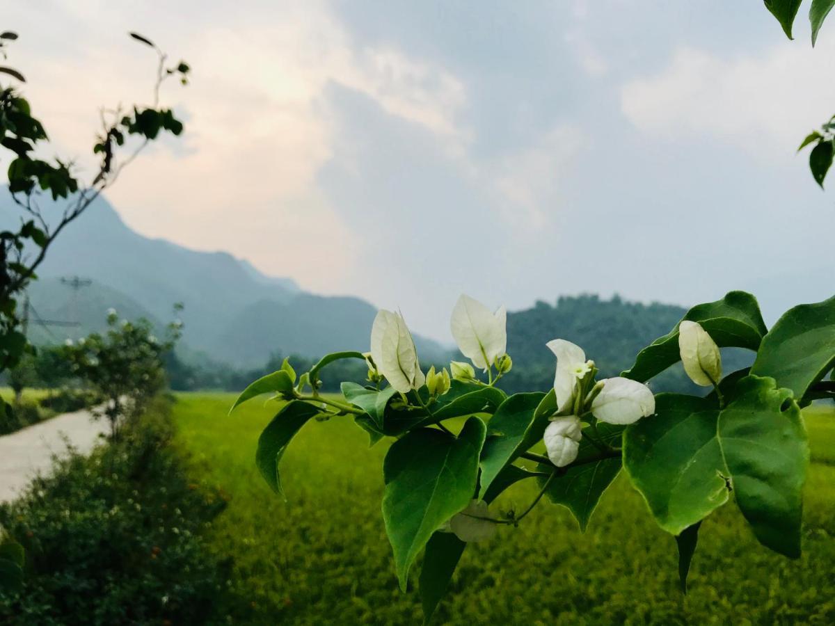 Jomo House Mai Chau Hotel Hoa Binh Ngoại thất bức ảnh